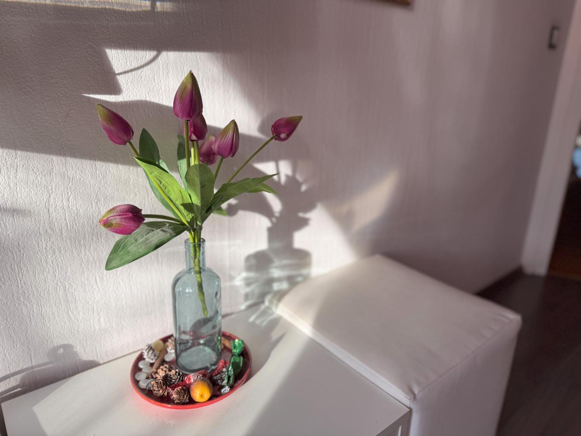 Ejjelibagoly Vendeghaz Hotel Szentes Ngoại thất bức ảnh